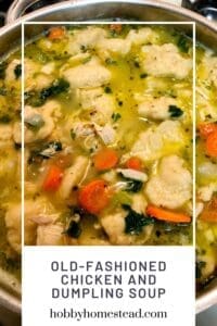 Old-Fashioned Chicken and Dumpling Soup