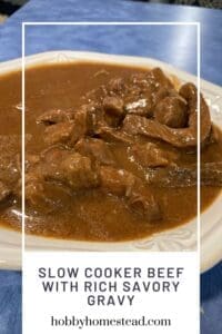 Slow Cooker Beef with Rich Savory Gravy