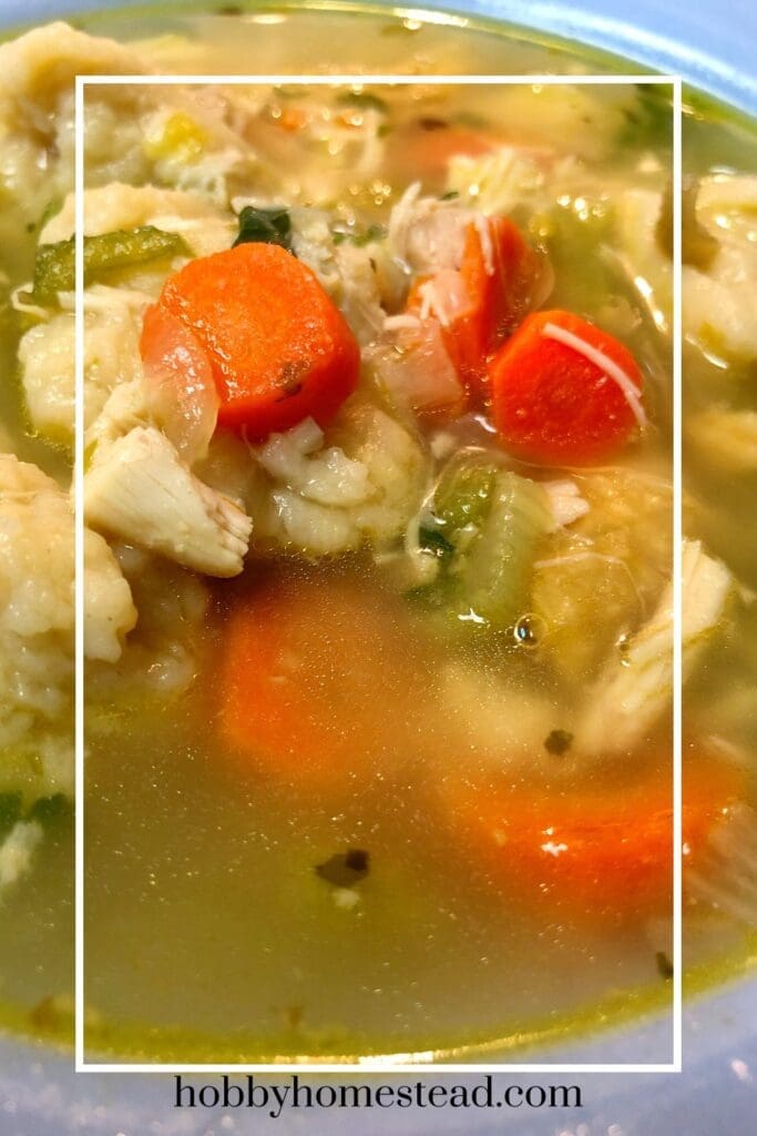 delicious homemade chicken and dumpling soup