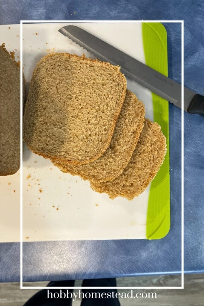 whole wheat sourdough slices