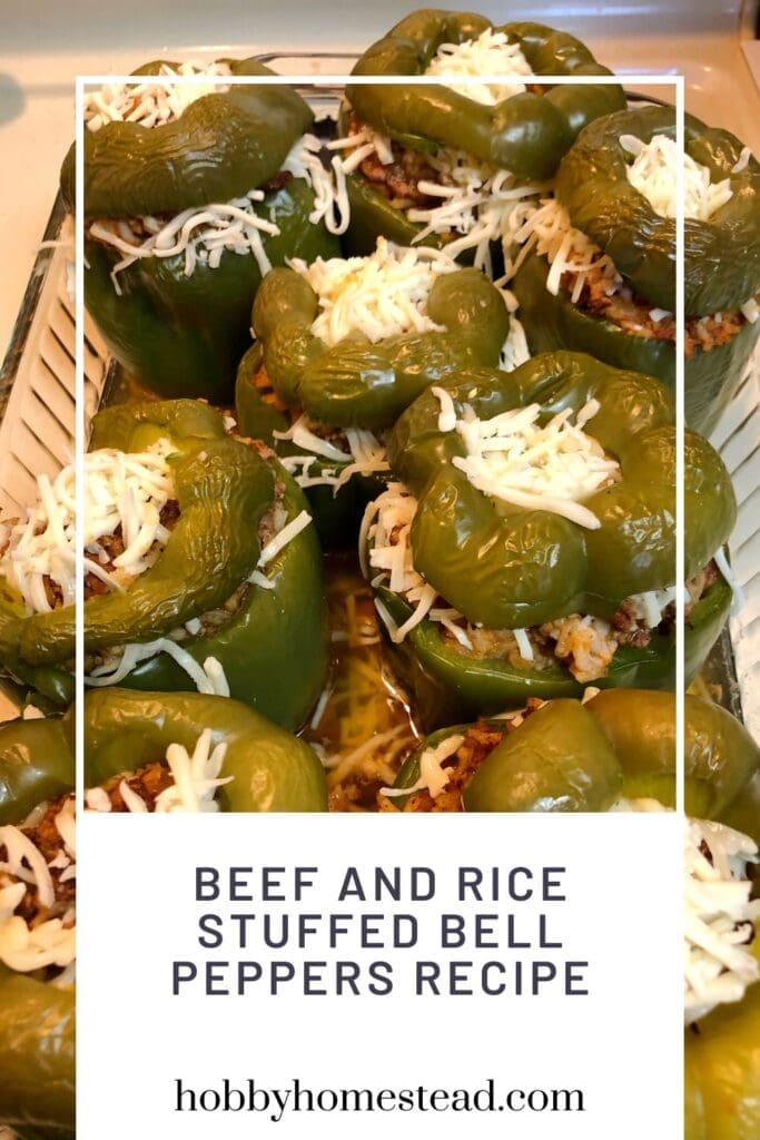 Beef and Rice Stuffed Bell Peppers Recipe