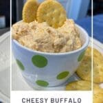 Cheesy Buffalo Chicken Dip (Easy Party Appetizer)