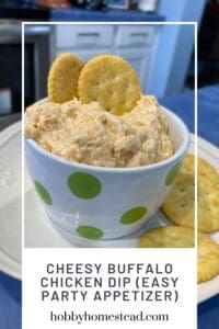 Cheesy Buffalo Chicken Dip (Easy Party Appetizer)