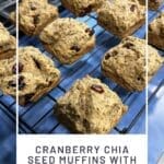 Cranberry Chia Seed Muffins with Tender Bakery Crumb