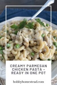 Creamy Parmesan Chicken Pasta &ndash; Ready in One Pot