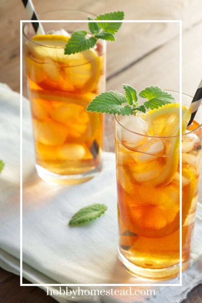 Delicious Ice Tea with Mint and Lemon Slices