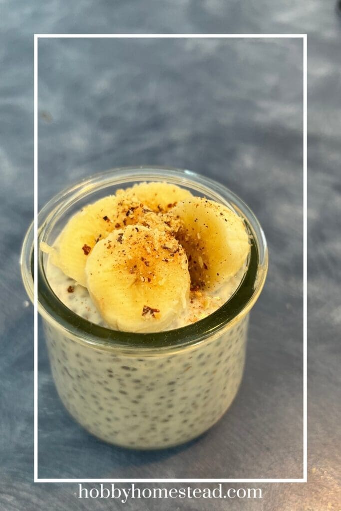 Homemade overnight chia seed pudding with toppings