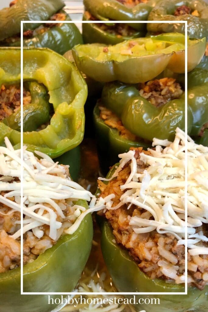 Making Beef and Rice Bell Peppers