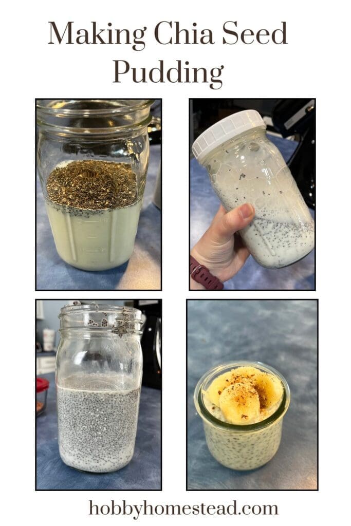 Making Chia Seed Pudding