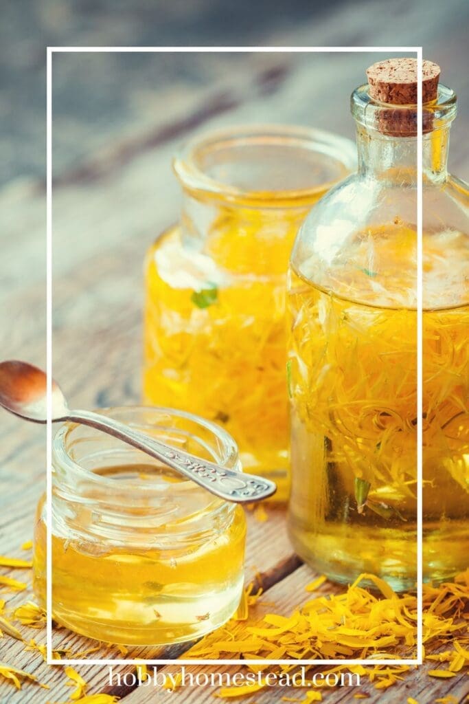 Making Dandelion Petal Tincture