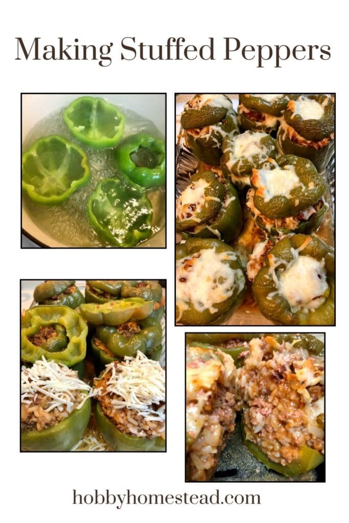Making Stuffed Peppers