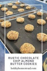 Rustic Chocolate Chip Almond Butter Cookies