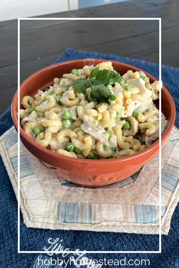 Serving Bowl of Creamy Chicken and Pasta