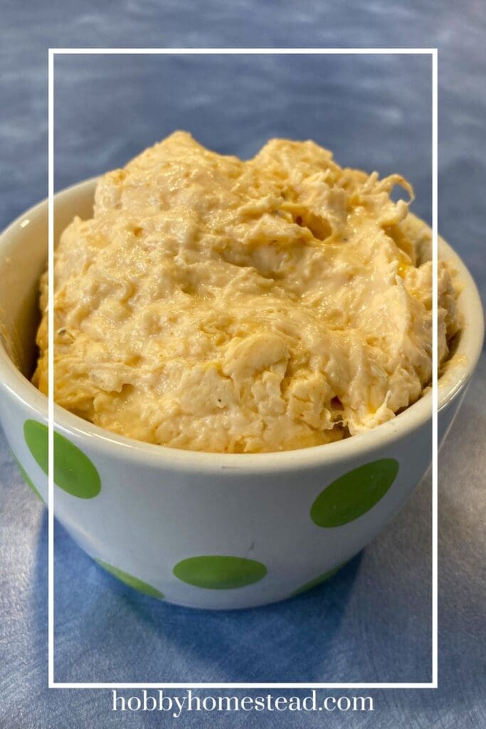 Serving bowl filled with warm buffalo chicken dip