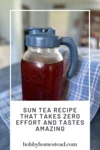 Sun Tea Recipe That Takes Zero Effort and Tastes Amazing