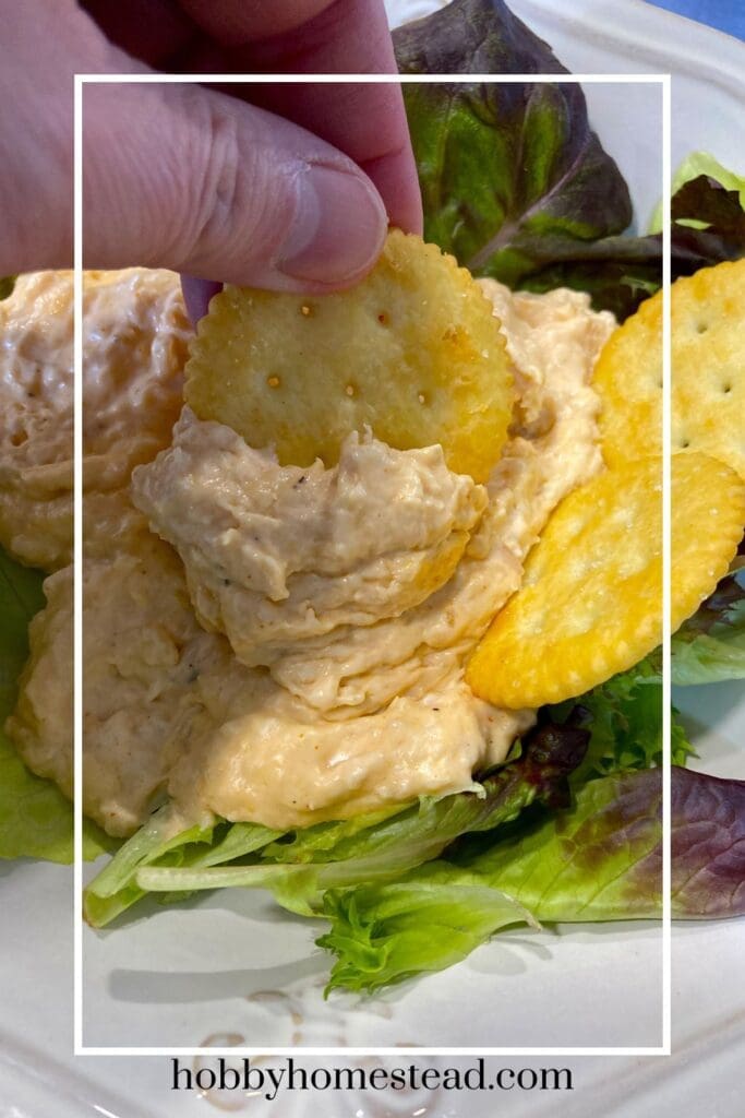 scooping warm chicken dip on cracker