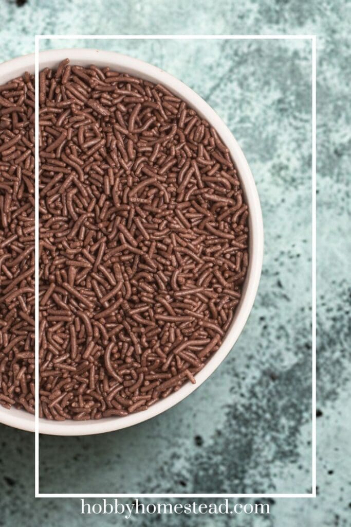Bowl of Chocolate Sprinkles