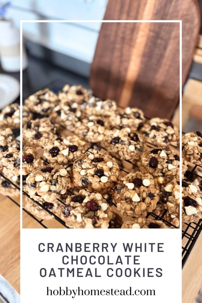 Cranberry White Chocolate Oatmeal Cookies