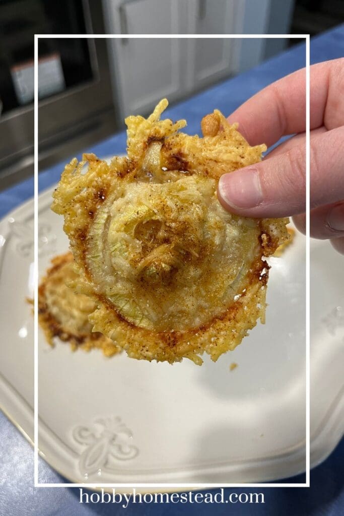 Crispy and Cheesy Onion Slices