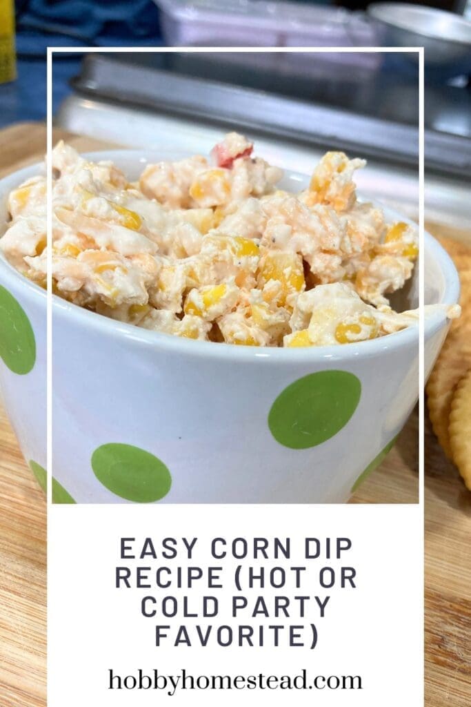 Easy Corn Dip Recipe (Hot or Cold Party Favorite)