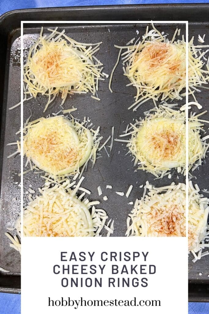 Easy Crispy Cheesy Baked Onion Rings