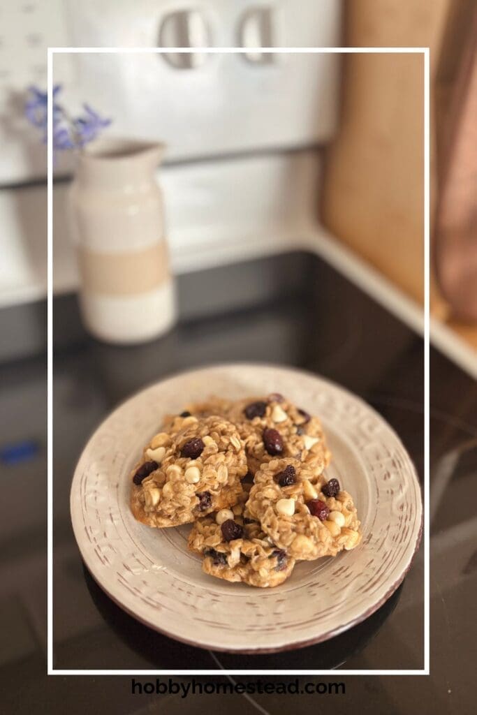 Easy Farmhouse Cranberry and Oatmeal Cookies