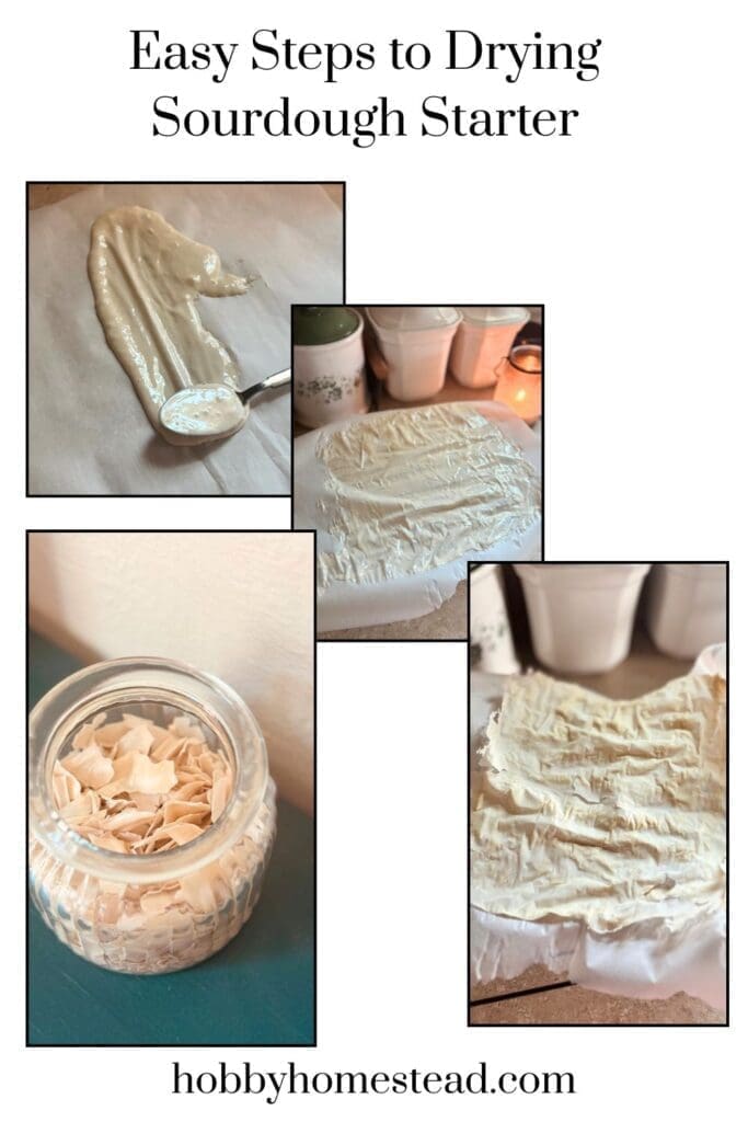 Easy Steps to Drying Sourdough Starter