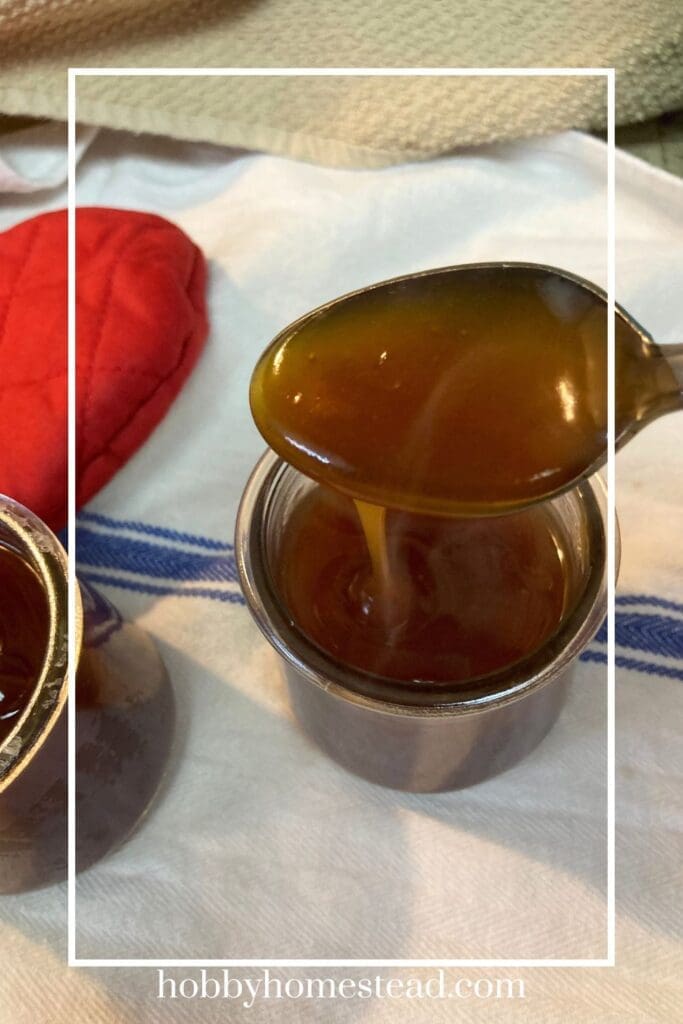 Homemade Sweet and Sour Sauce Ready for Dipping