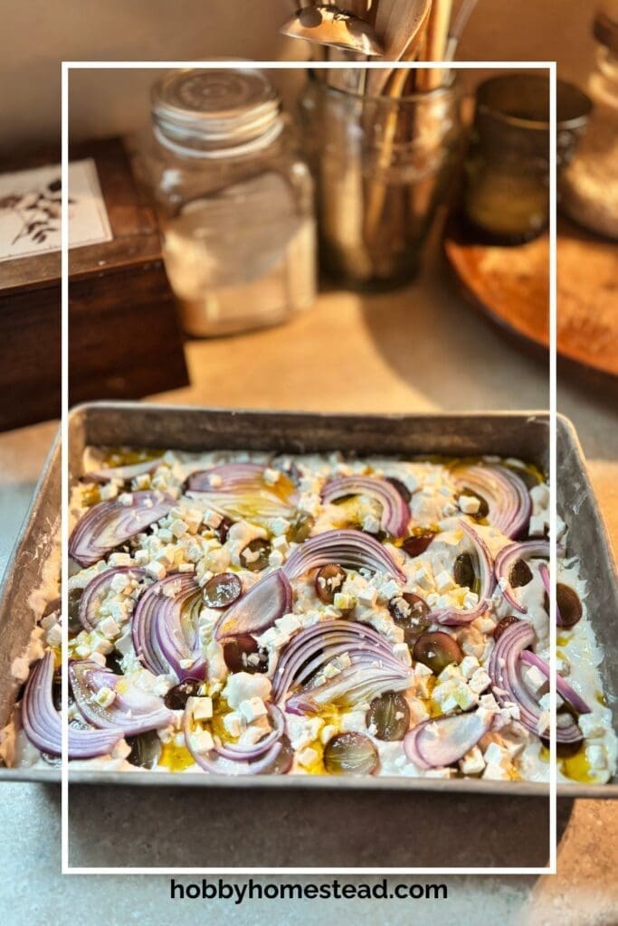 Homemade Tuscan Flatbread with Grapes and Onions