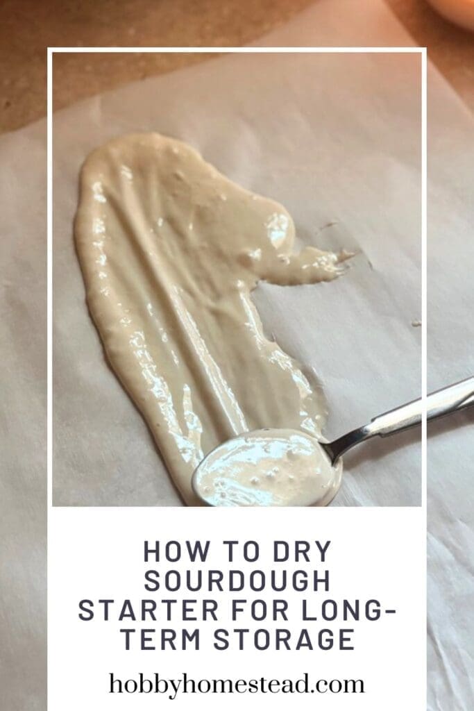 How to Dry Sourdough Starter for Long-Term Storage