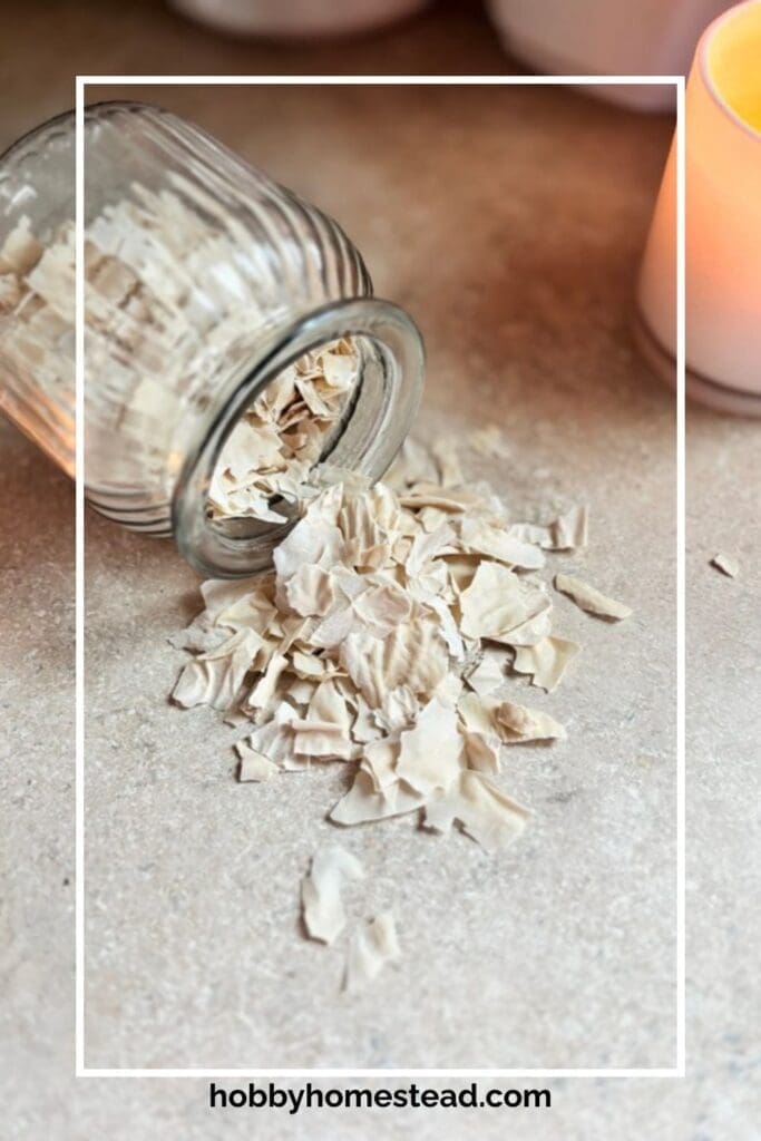 Jar of Dried Sourdough