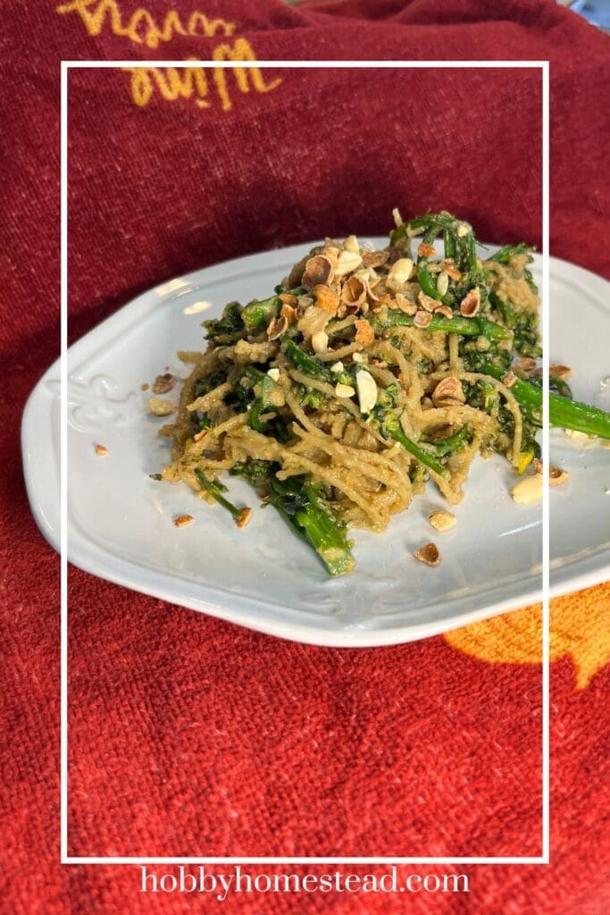 Pasta with Peanut Sauce and Broccolini