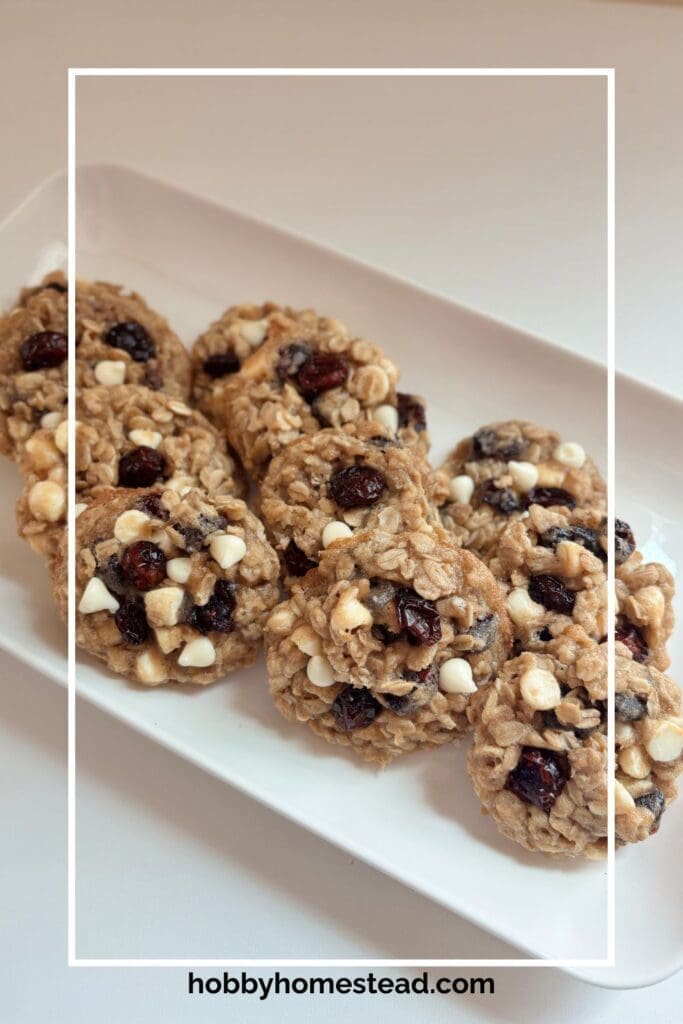 Platter of Oatmeal Cranberry and Chocolate Cookies