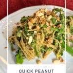 Quick Peanut Sauce Pasta with Broccolini