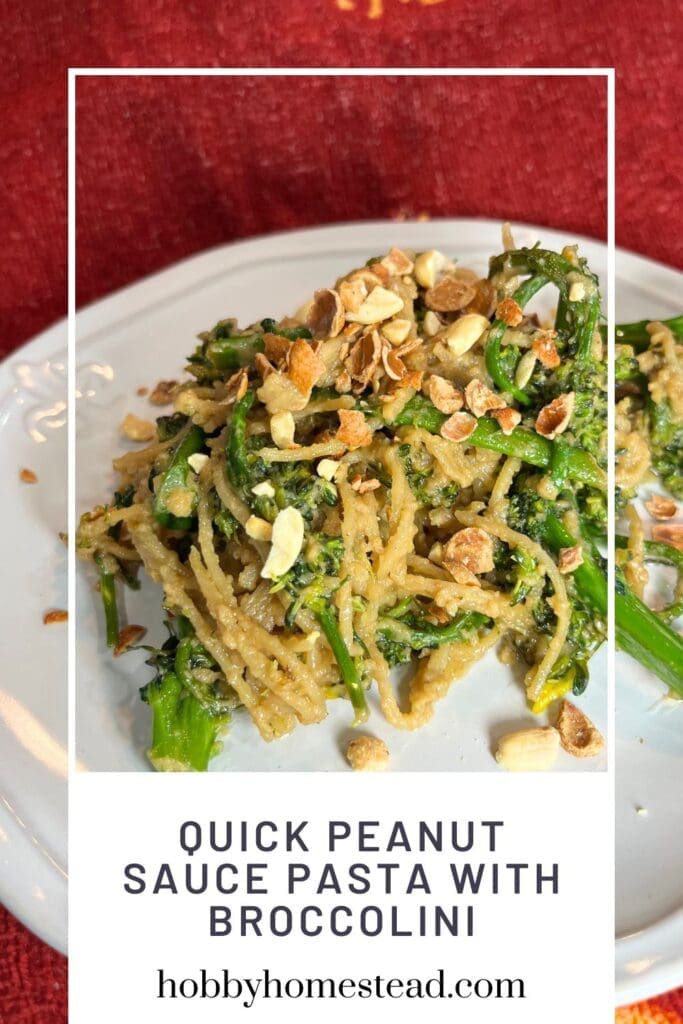 Quick Peanut Sauce Pasta with Broccolini
