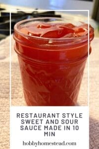 Restaurant Style Sweet and Sour Sauce Made in 10 Min