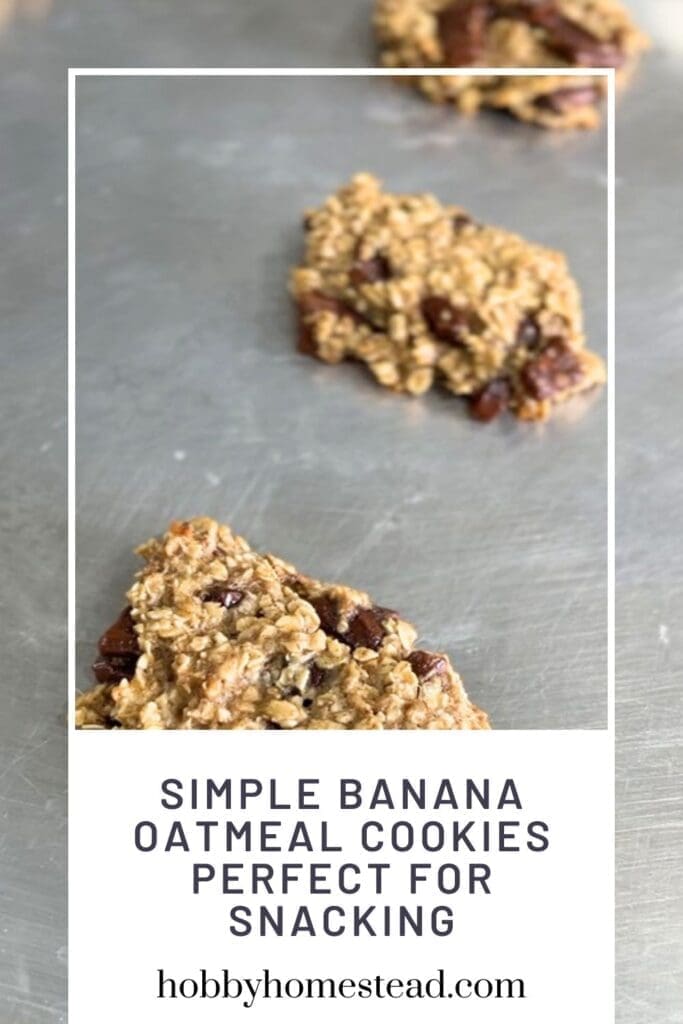 Simple Banana Oatmeal Cookies Perfect for Snacking