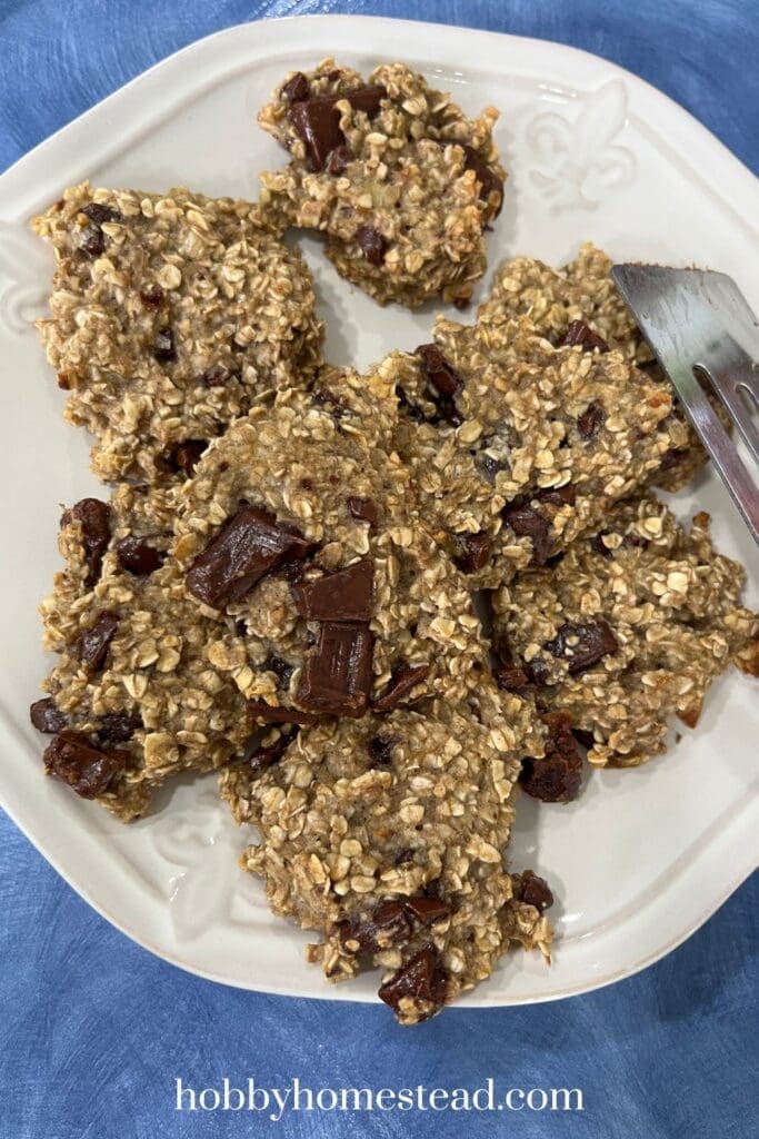 Warm Banana and Oatmeal Cookies on Plate