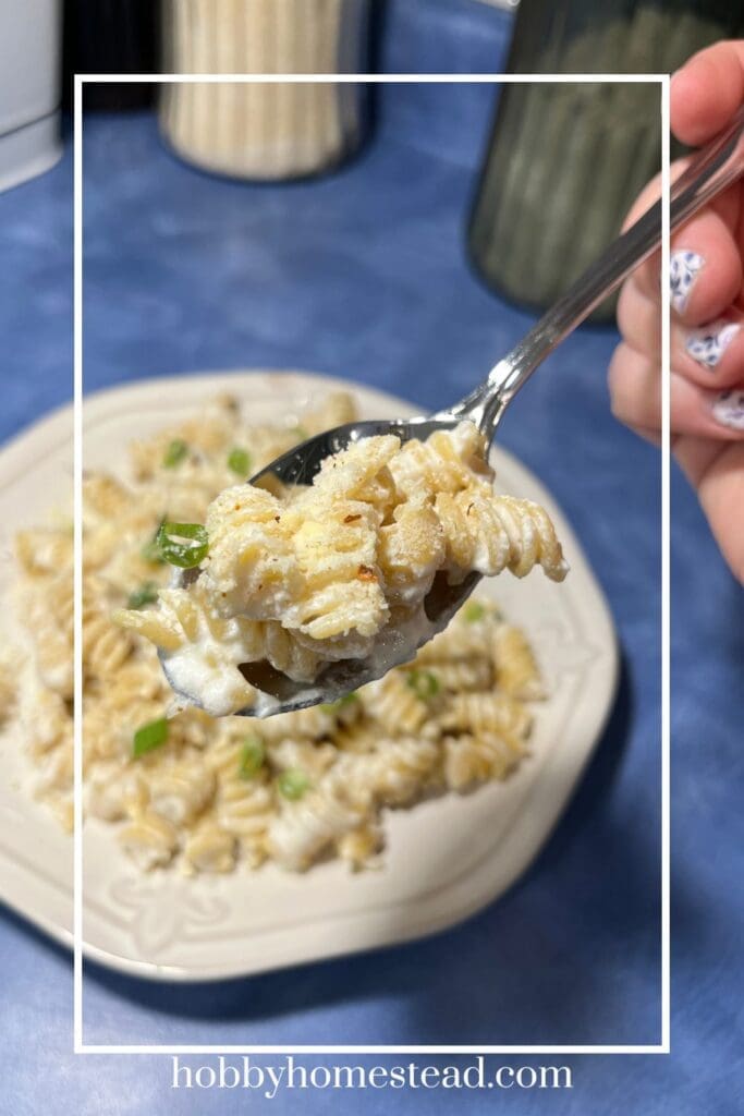20 Minute High Protein Pasta