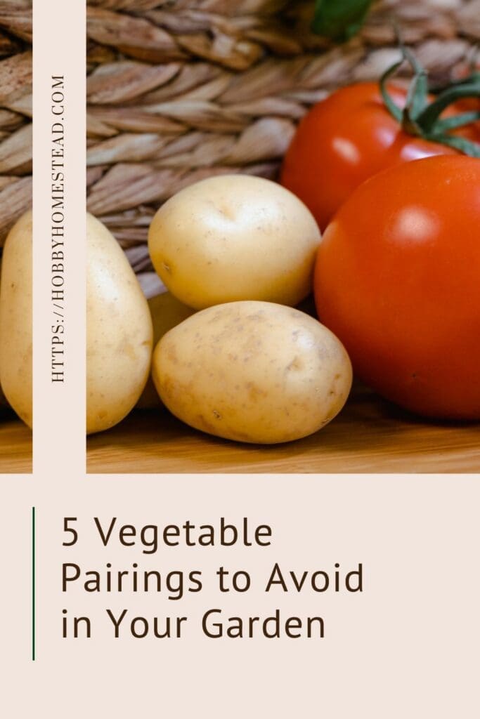 5 Vegetable Pairings to Avoid in Your Garden