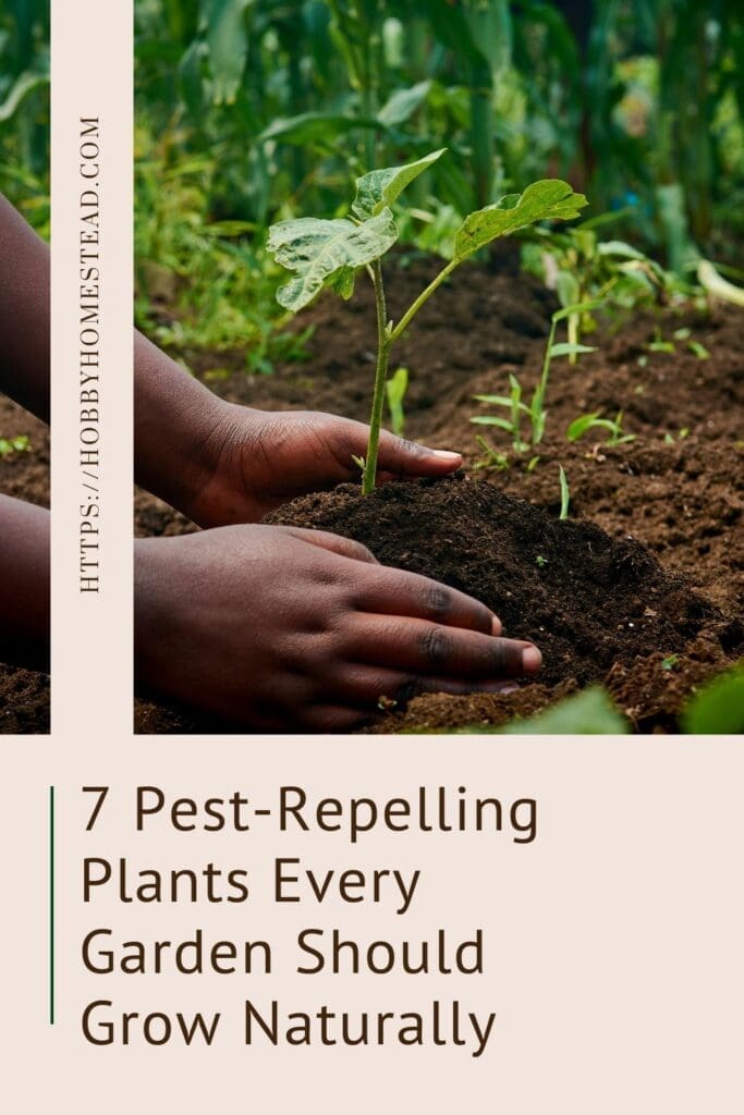 7 Pest-Repelling Plants Every Garden Should Grow Naturally