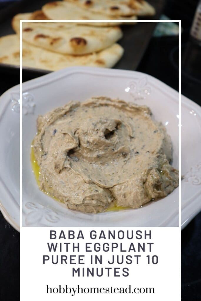 Baba Ganoush with Eggplant Puree in Just 10 Minutes