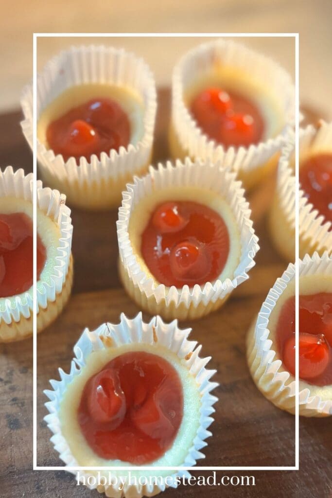Cherry Cheesecake Cups