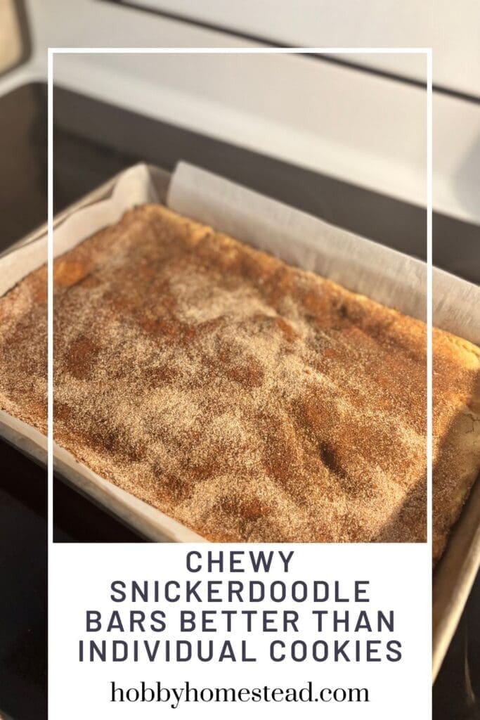 Chewy Snickerdoodle Bars Better Than Individual Cookies