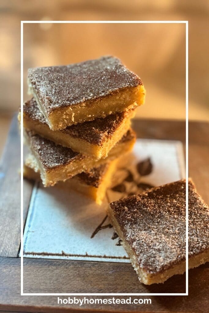 Cinnamon Sugar Dessert Cookie Bars