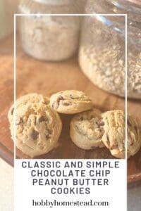Classic and Simple Chocolate Chip Peanut Butter Cookies