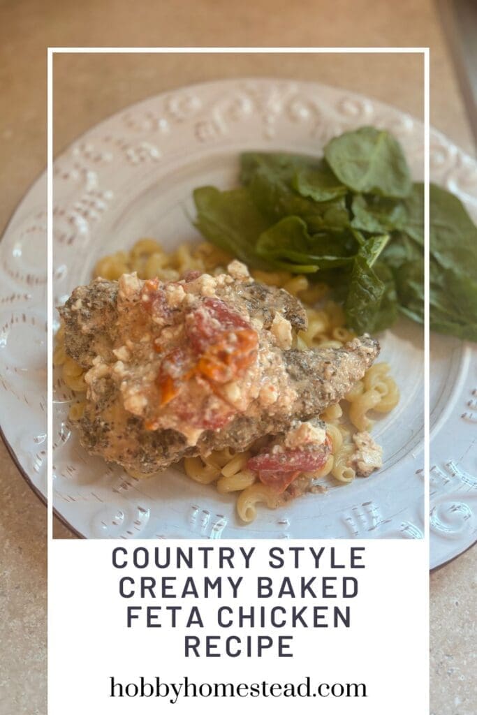 Country Style Creamy Baked Feta Chicken Recipe