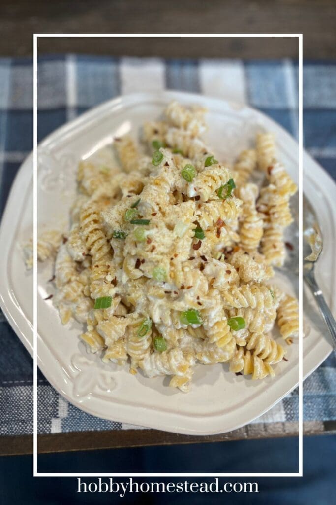 Creamy Spiral Noodles with Toppings