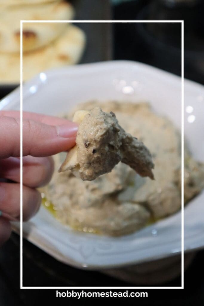 Dipping into Baba Ganoush