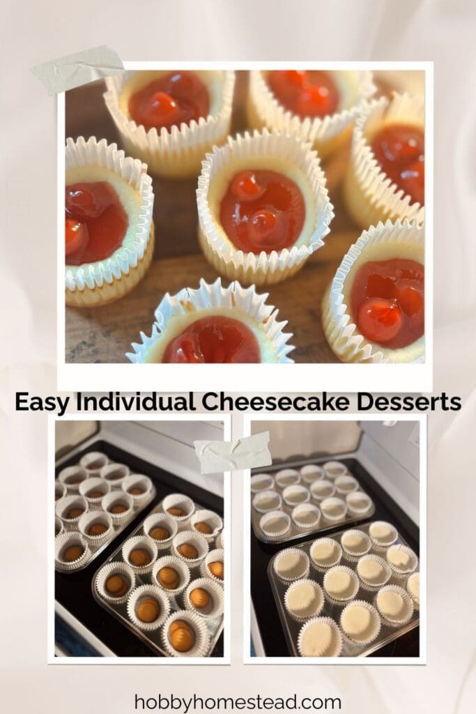 Easy Individual Cheesecake Desserts